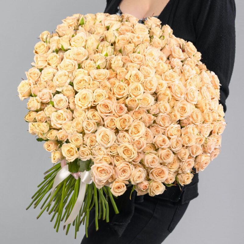 101 Кустовая Персиковая Роза